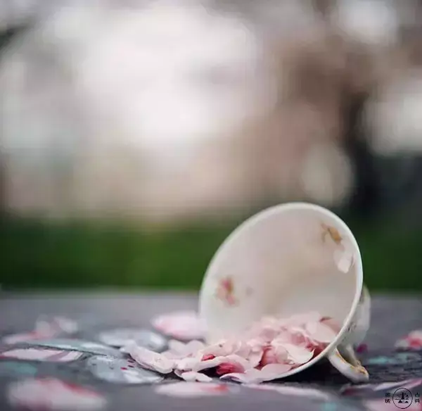 9首红尘诗词,走过多年,归人心何凄?(图8) 9首红尘诗词,走过多年,归人心何凄?(图8)