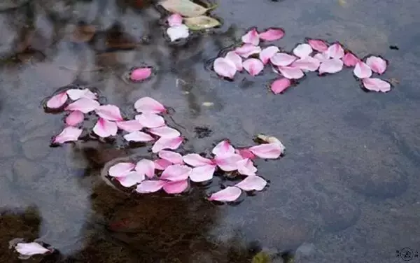 9首红尘诗词,走过多年,归人心何凄?(图9) 9首红尘诗词,走过多年,归人心何凄?(图9)