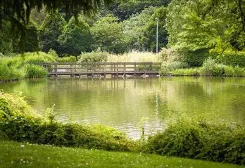 十首红尘诗词：流光容易把人抛，红了樱桃，绿了芭蕉(图5)