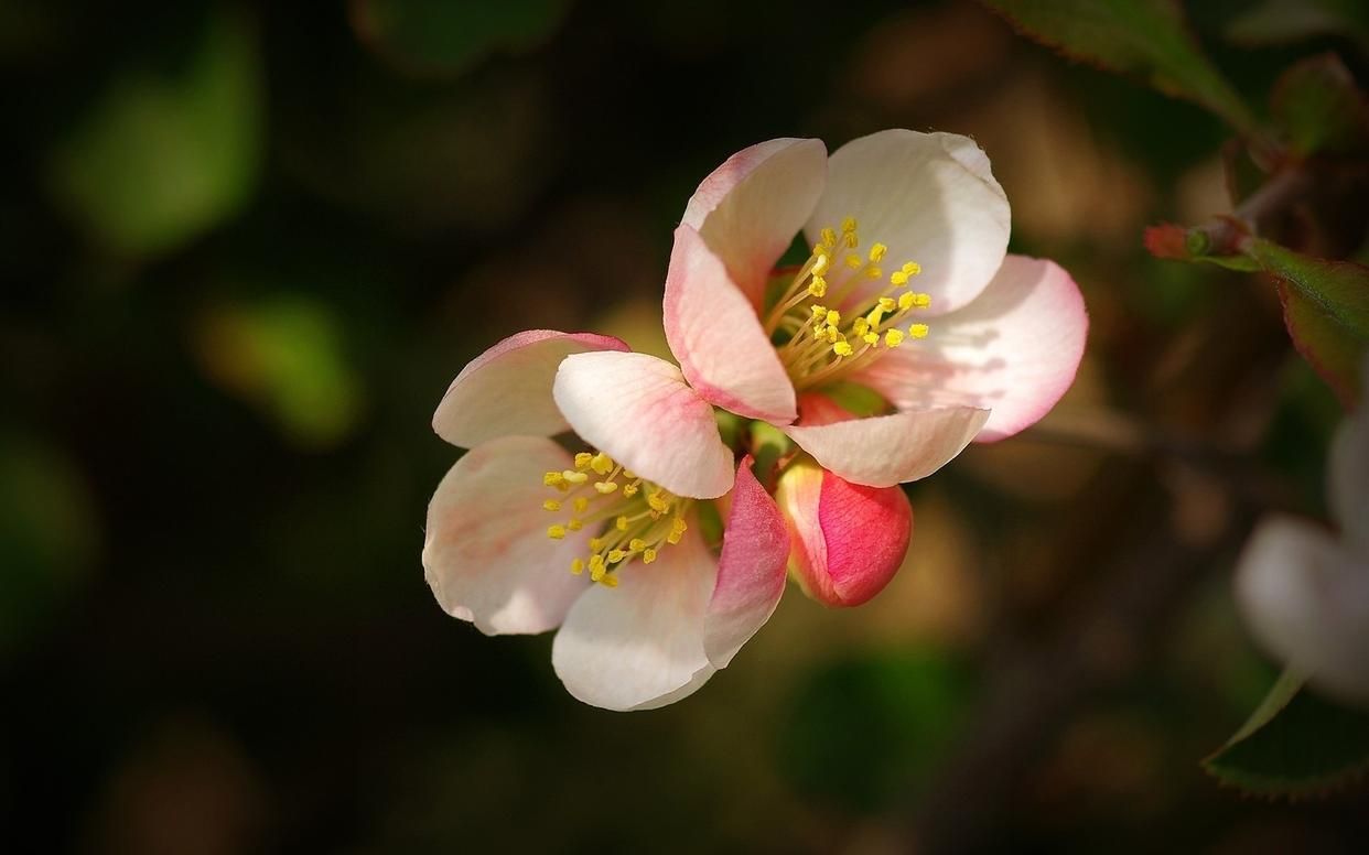 人生，很不容易！（句句戳心）(图1)