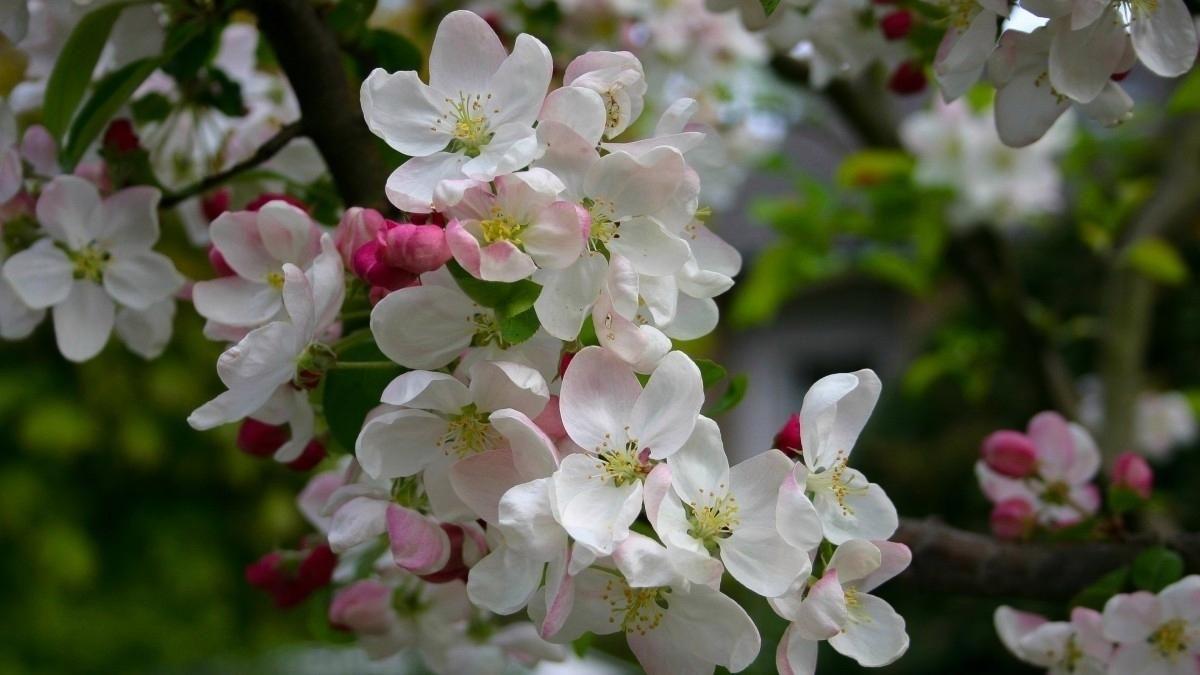 人生，很不容易！（句句戳心）(图3)