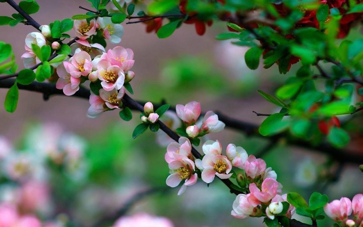 人生，很不容易！（句句戳心）(图5)