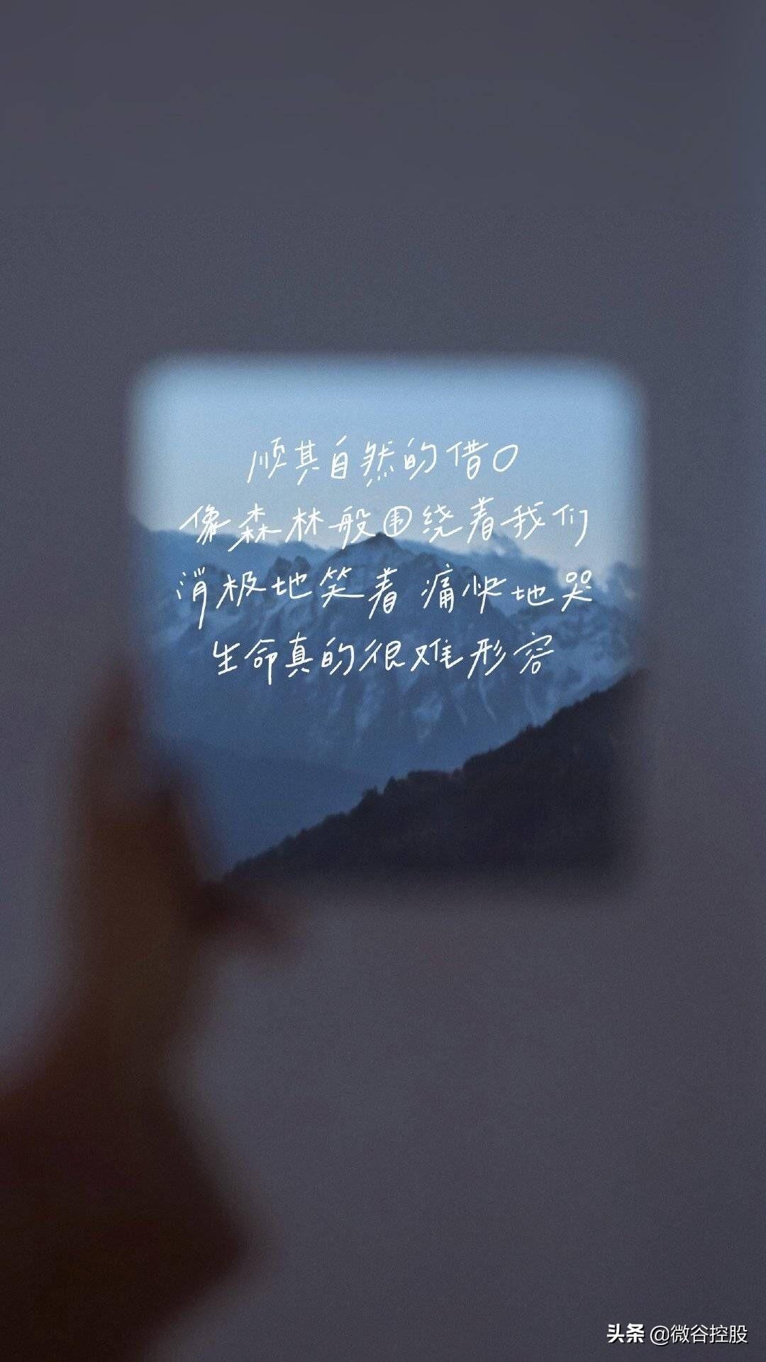 温柔治愈又励志文案：即便是生活在阴沟里，也要抬头仰望到星空(图1)