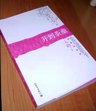 亦舒作品语录摘抄(图9)