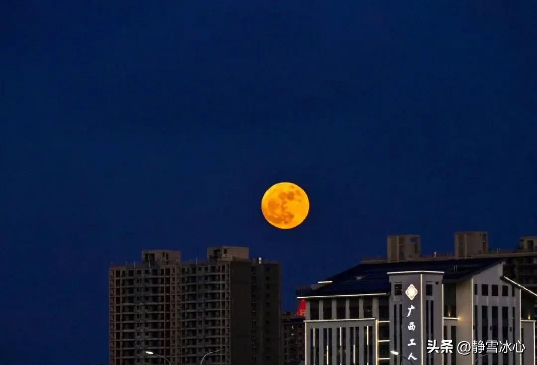 静夜，思绪在月色下缱绻，在文字里缠绵(图3)