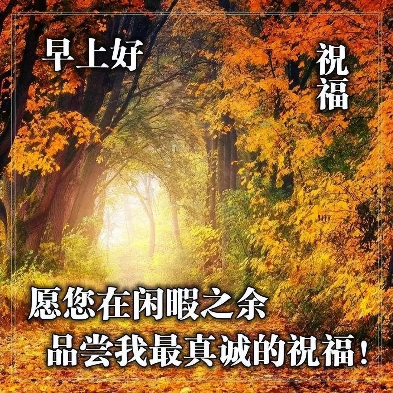 早晨安好：不乱于心，不困于情，不畏将来，不念过去，早安！(图1)