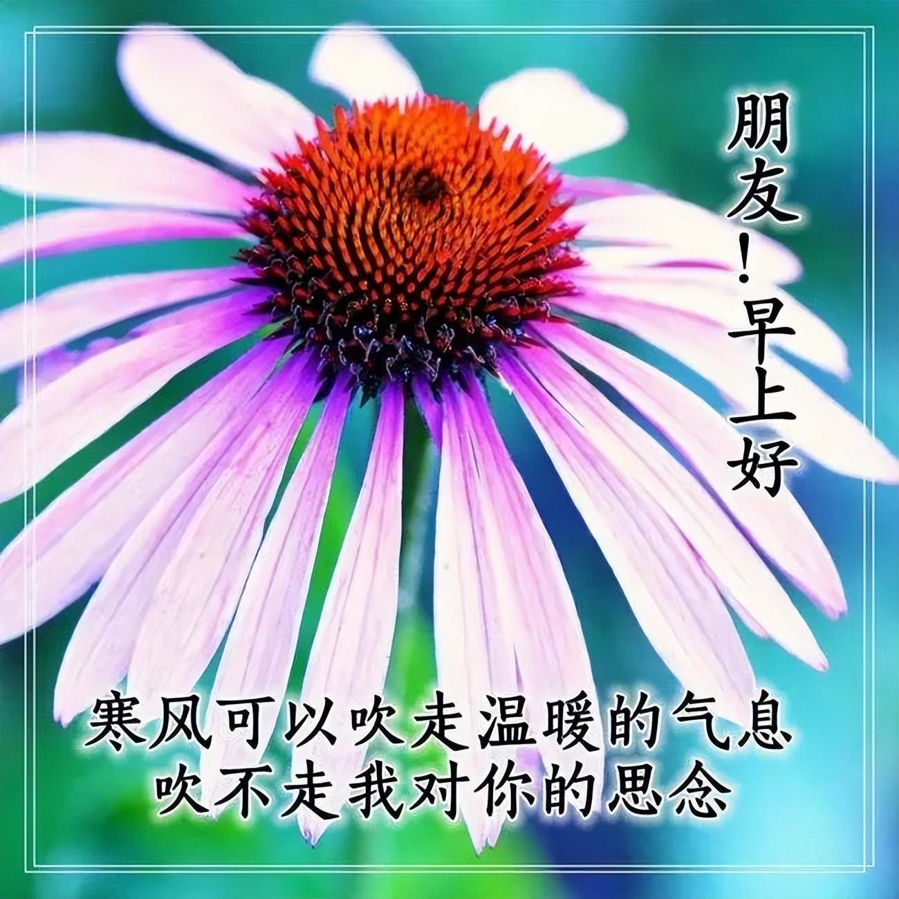 早晨安好：不乱于心，不困于情，不畏将来，不念过去，早安！(图2)