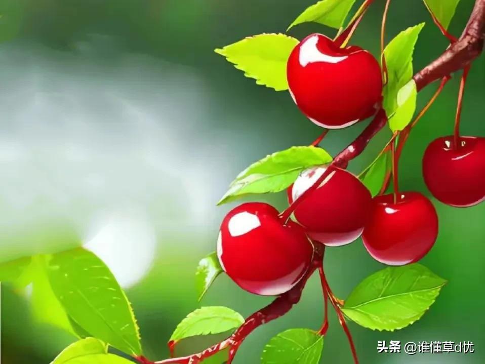 朝是你暮是你，一天又一天，思念在心间不停地环绕(图4)