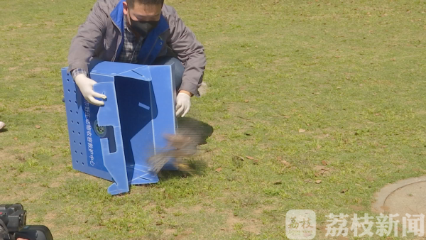 拥抱蓝天、享受自由:春光正好,送鸟儿回家!(图1) 拥抱蓝天、享受自由:春光正好,送鸟儿回家!(图1)