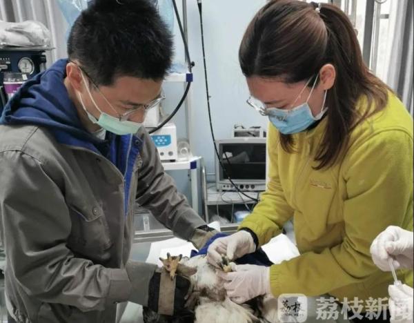 拥抱蓝天、享受自由：春光正好，送鸟儿回家！(图6)