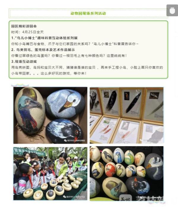 拥抱蓝天、享受自由:春光正好,送鸟儿回家!(图8) 拥抱蓝天、享受自由:春光正好,送鸟儿回家!(图8)