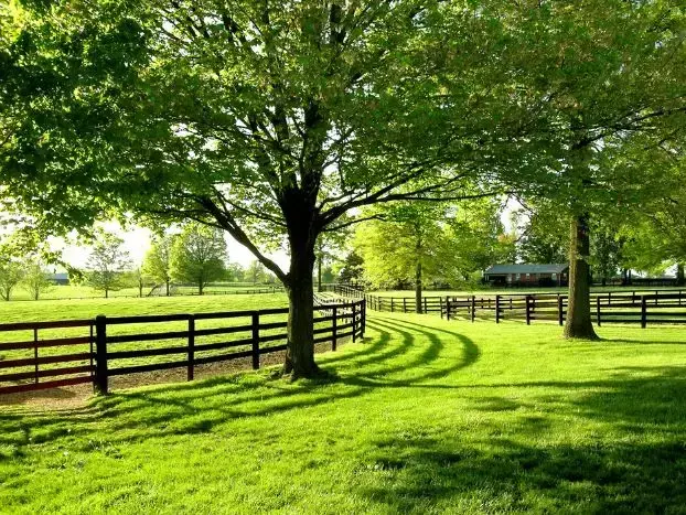 「写作微素材」描写环境的优美好词好句好段(图5)