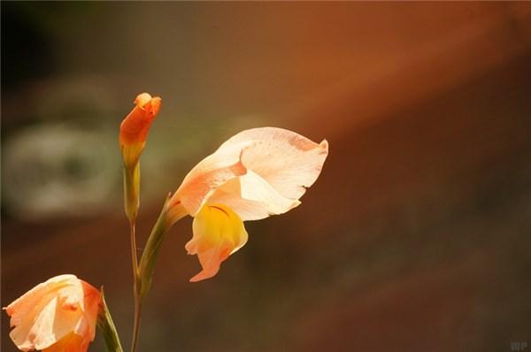 态度改变了，思想就会改变；思想改变了，行为就会改变，早安(图3)