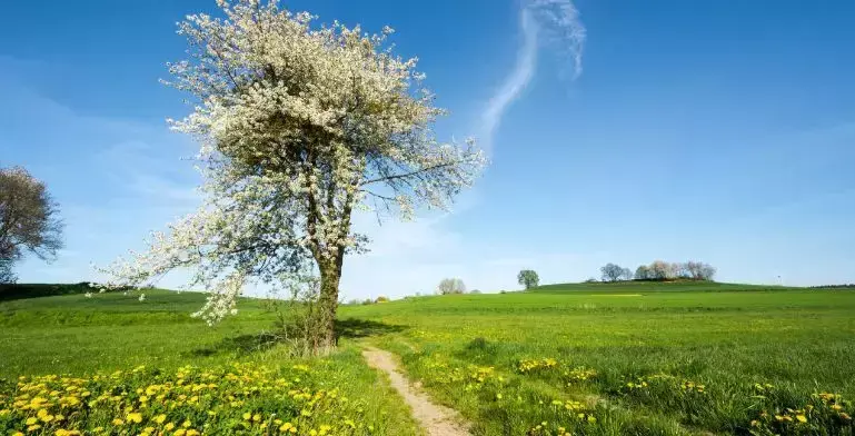 描写环境的优美好词好句好段，值得分享收藏！(图4)