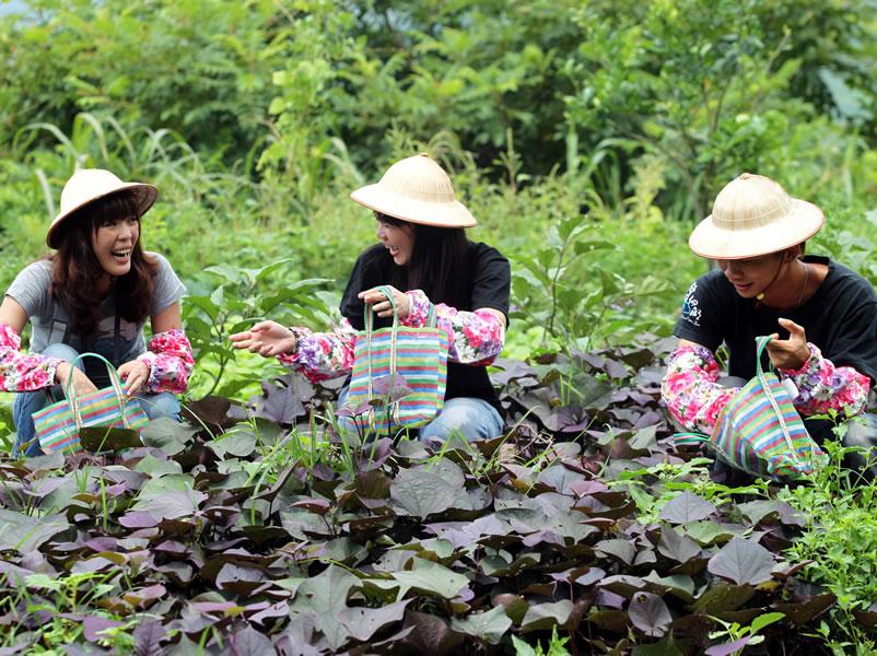 休闲农业追求“高档”是老土！什么才是真正的“高大上”？(图1)