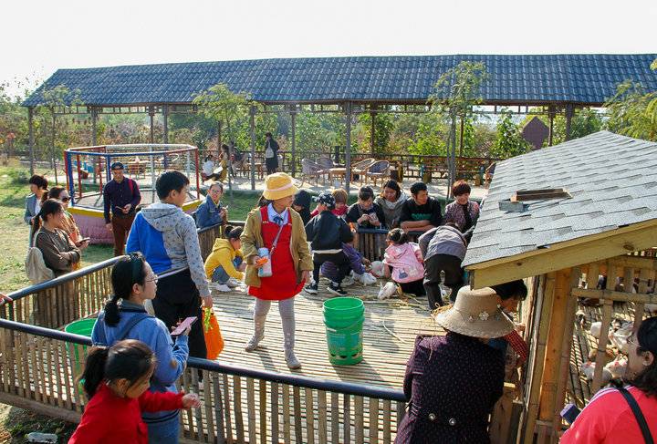 这个农场有点好玩！齐鲁晚报小记者走进五十一号农场“撒欢儿”(图2)