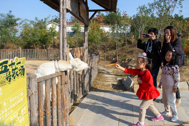这个农场有点好玩！齐鲁晚报小记者走进五十一号农场“撒欢儿”(图3)
