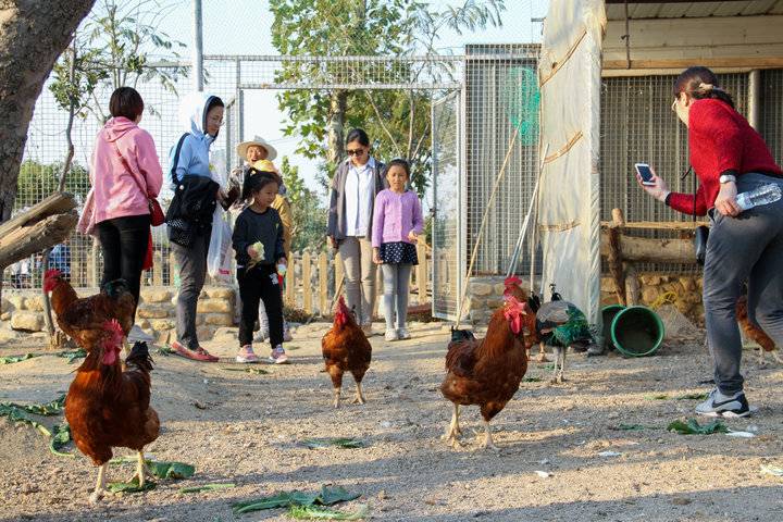这个农场有点好玩！齐鲁晚报小记者走进五十一号农场“撒欢儿”(图5)