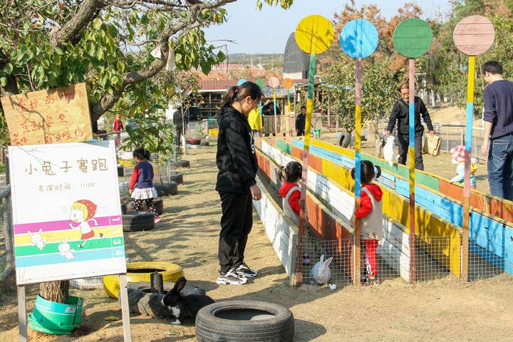 这个农场有点好玩！齐鲁晚报小记者走进五十一号农场“撒欢儿”(图7)