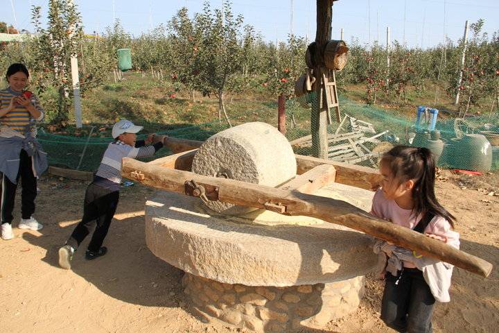 这个农场有点好玩！齐鲁晚报小记者走进五十一号农场“撒欢儿”(图11)