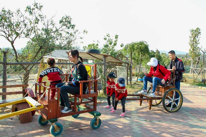 这个农场有点好玩！齐鲁晚报小记者走进五十一号农场“撒欢儿”(图12)