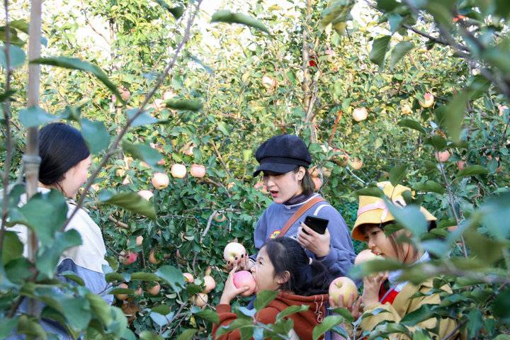 这个农场有点好玩！齐鲁晚报小记者走进五十一号农场“撒欢儿”(图13)