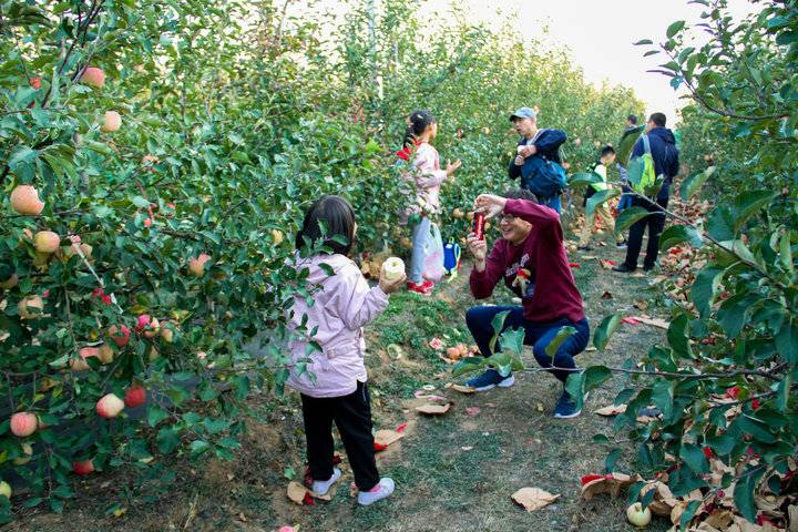 这个农场有点好玩！齐鲁晚报小记者走进五十一号农场“撒欢儿”(图14)