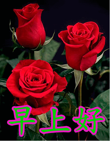 寒冷季节，一句简短的问候，一条温暖的关怀送给你：天冷注意加衣(图8)