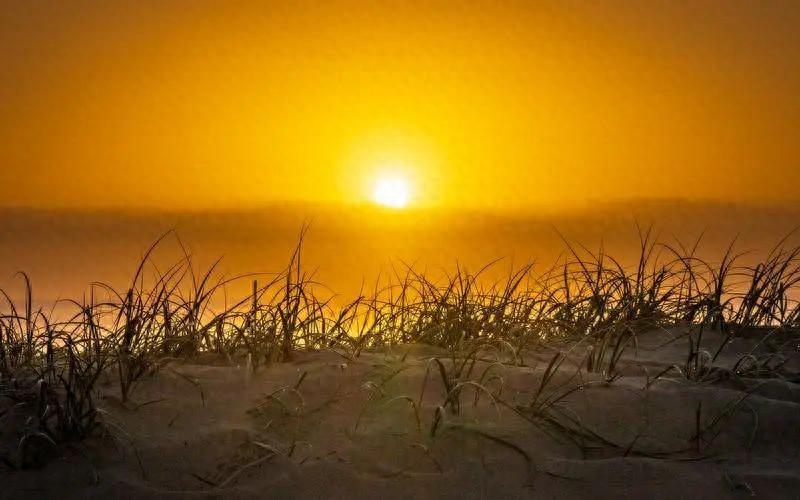 忽悠人的幽默句子，分分钟笑掉大牙!(图1)