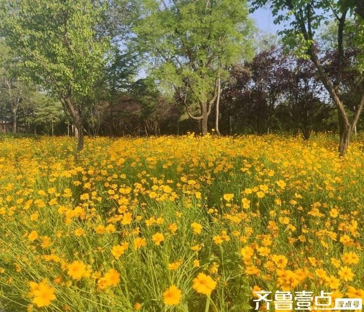 老友记|最后一面(图1)
