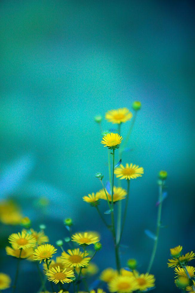 精选了狄更斯的34个名句，一起来精进，提升！(图2)