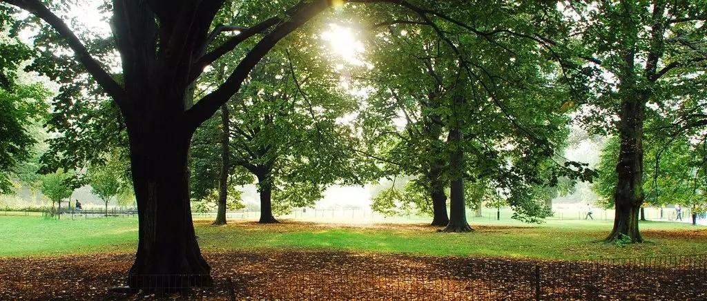 查尔斯·狄更斯的30句经典名言，值得用心去铭记，建议收藏！(图1)