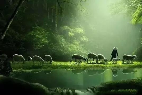 查尔斯·狄更斯的30句经典名言，值得用心去铭记，建议收藏！(图3)