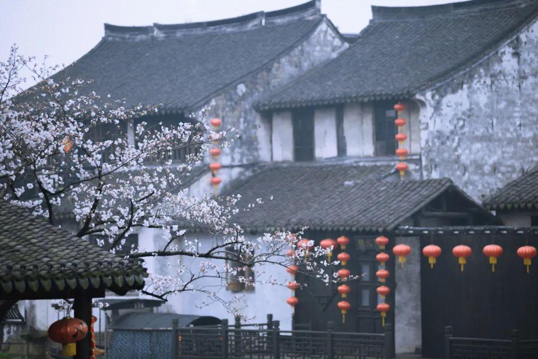 30个落花美句，唯美而不失意境，总有一句你会喜欢(图3)