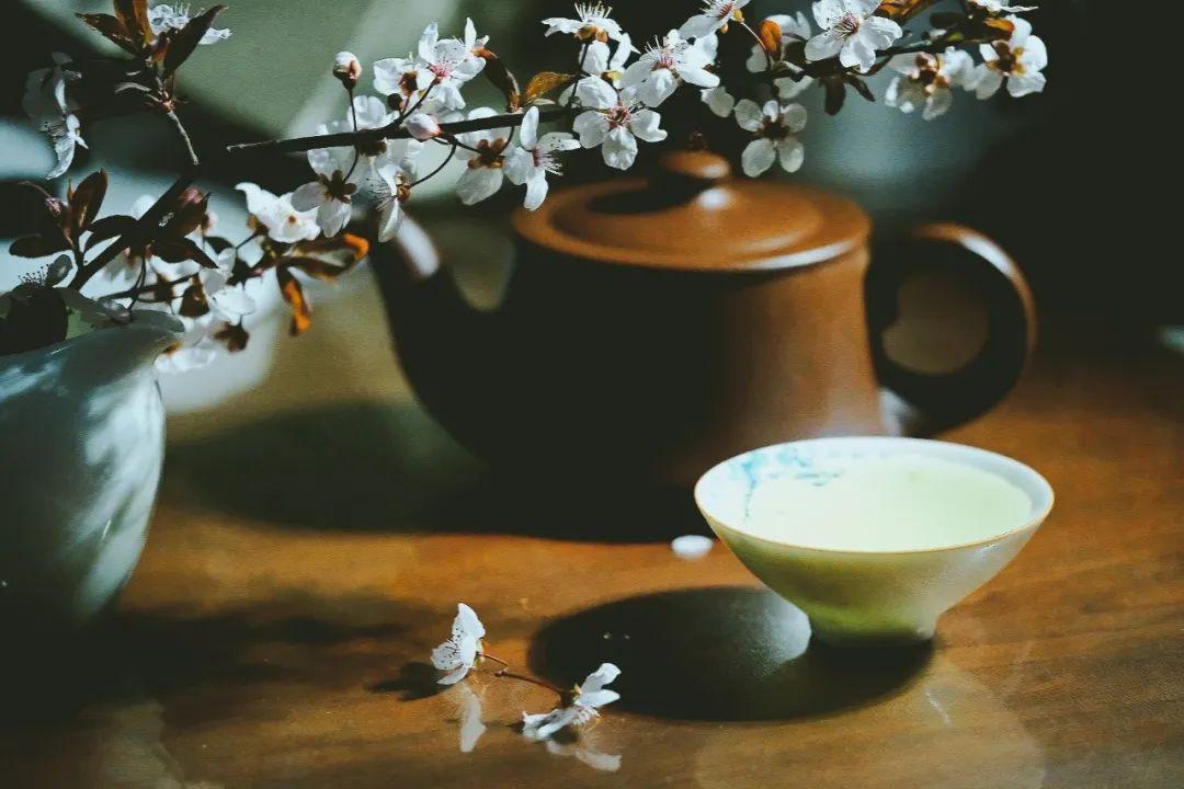 30个落花美句，唯美而不失意境，总有一句你会喜欢(图5)