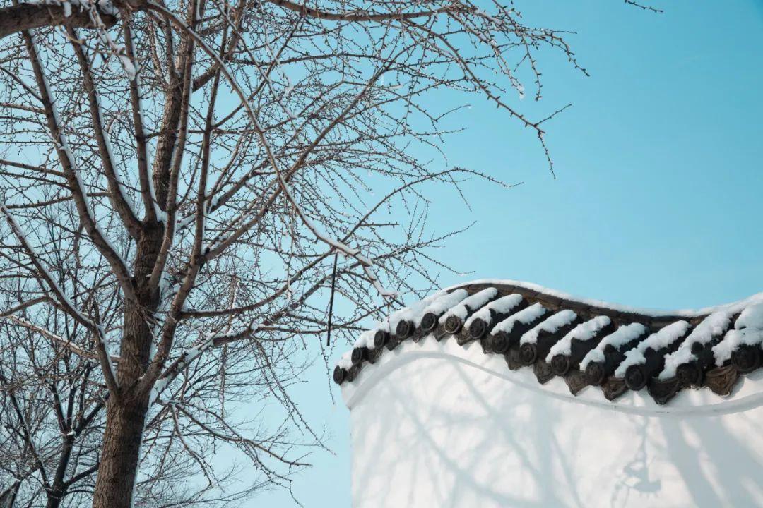 12句冬雪诗词，浪漫有情调，治愈了整个冬天(图4)