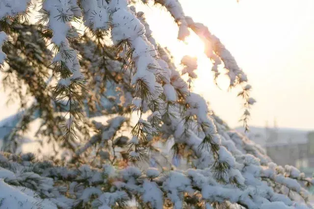写尽雪之美的诗词，却不带一个雪字(图4)