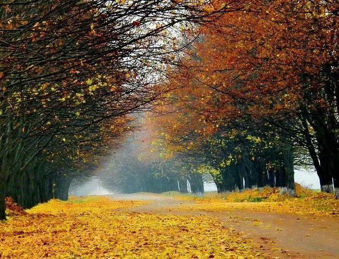 藏在古诗词里的9首“十年”，每一首都动人心魄，读完感慨良多(图9)