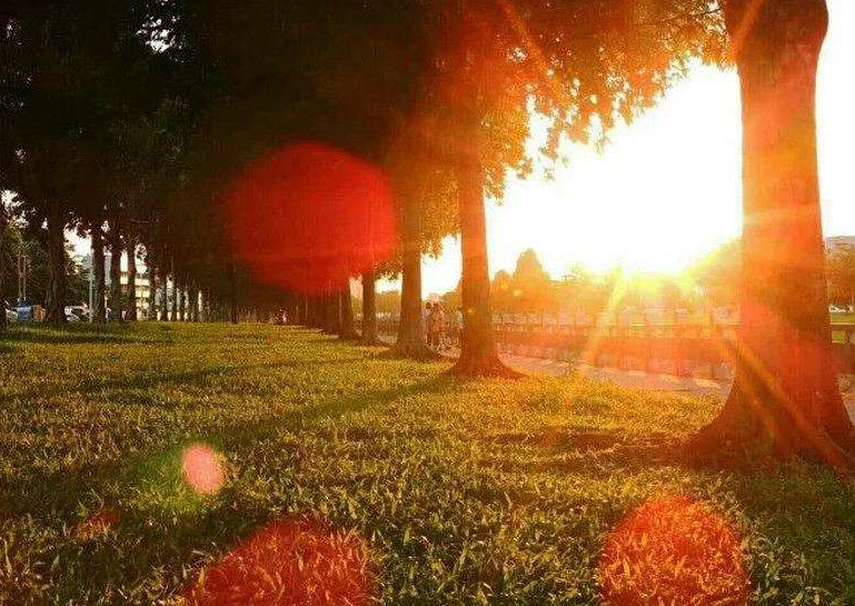 诗词鉴赏-时间如水 岁月如歌，十首古诗词，在岁月流逝中沉淀自己(图17)