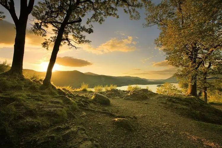 青春无悔，励志行动，激励青春的短句(图5)