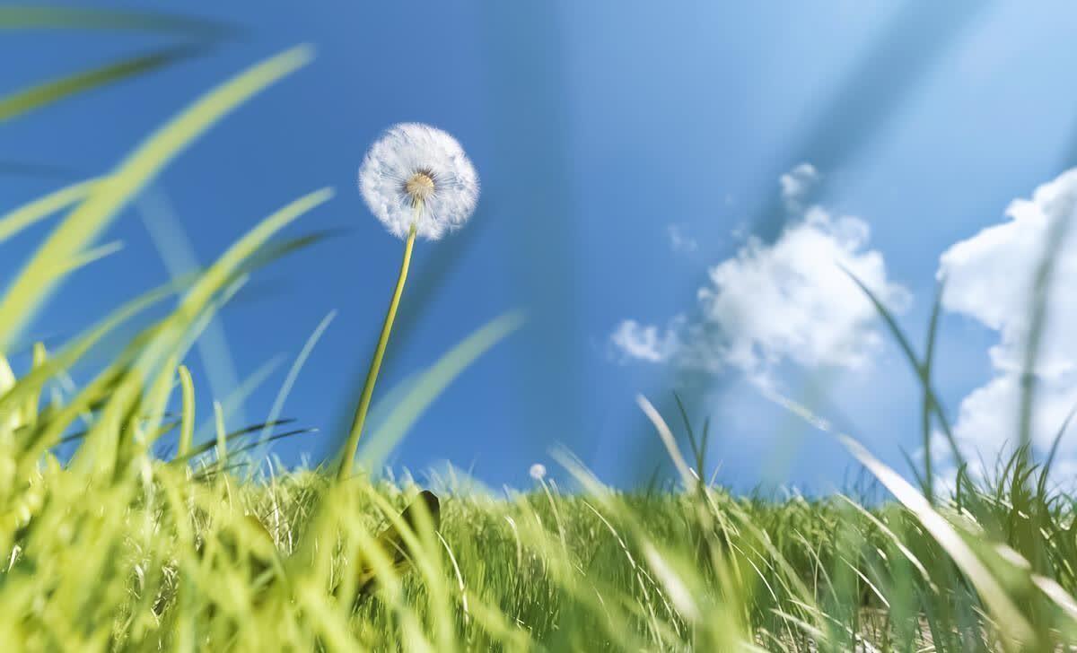 朋友圈洒脱不羁的精选句子,句句催人奋进(图3)