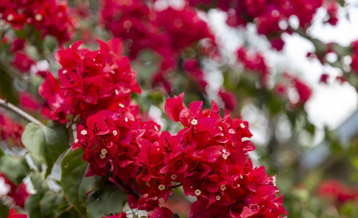 朋友圈洒脱不羁的精选句子,句句催人奋进(图4)