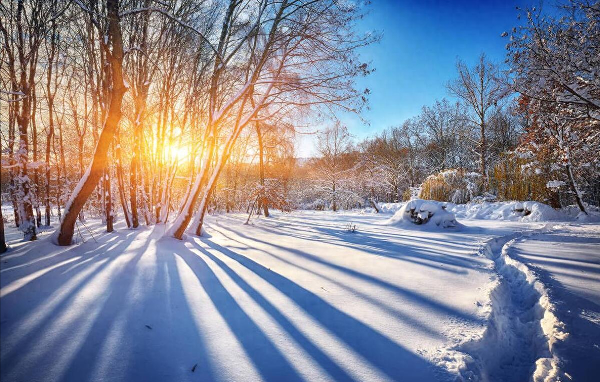 风一程雪一程，心怀阳光，温暖心房(图1)