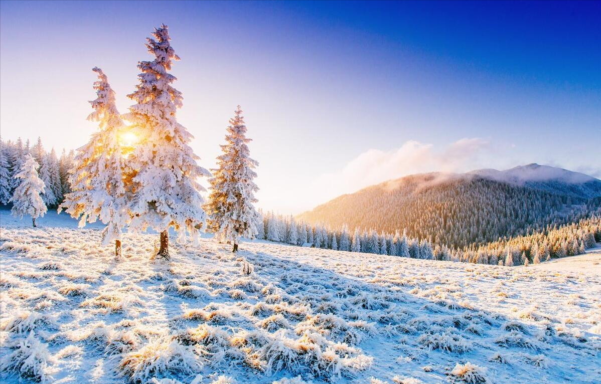 风一程雪一程，心怀阳光，温暖心房(图4)