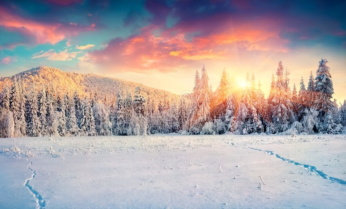 风一程雪一程，心怀阳光，温暖心房(图5)