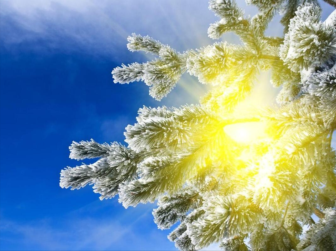 风一程雪一程，心怀阳光，温暖心房(图6)