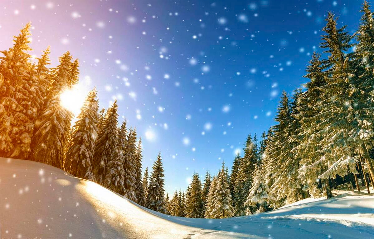 风一程雪一程，心怀阳光，温暖心房(图7)