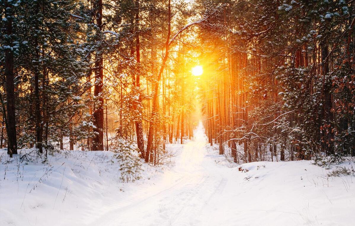 风一程雪一程，心怀阳光，温暖心房(图8)