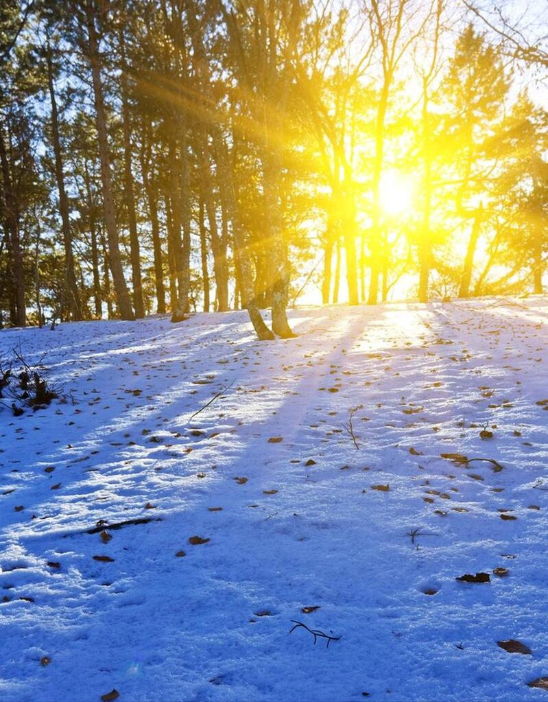 风一程雪一程，心怀阳光，温暖心房(图9)