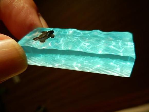 饰品：来自大海的礼物(图1)